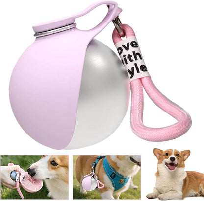 Water dispenser for pets