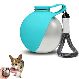Water dispenser for pets